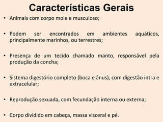 • Animais com corpo mole e musculoso;
• Podem ser encontrados em ambientes aquáticos,
principalmente marinhos, ou terrestres;
• Presença de um tecido chamado manto, responsável pela
produção da concha;
• Sistema digestório completo (boca e ânus), com digestão intra e
extracelular;
• Reprodução sexuada, com fecundação interna ou externa;
• Corpo dividido em cabeça, massa visceral e pé.
Características Gerais
 