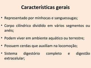 Características gerais
• Representado por minhocas e sanguessugas;
• Corpo cilíndrico dividido em vários segmentos ou
anéis;
• Podem viver em ambiente aquático ou terrestre;
• Possuem cerdas que auxiliam na locomoção;
• Sistema digestório completo e digestão
extracelular;
 