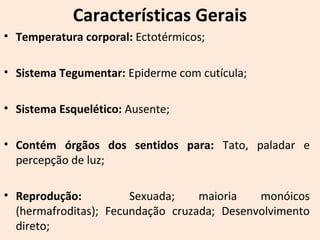 Características Gerais
• Temperatura corporal: Ectotérmicos;
• Sistema Tegumentar: Epiderme com cutícula;
• Sistema Esquelético: Ausente;
• Contém órgãos dos sentidos para: Tato, paladar e
percepção de luz;
• Reprodução: Sexuada; maioria monóicos
(hermafroditas); Fecundação cruzada; Desenvolvimento
direto;
 