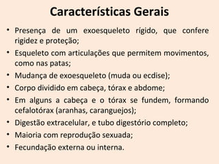 Características Gerais
• Presença de um exoesqueleto rígido, que confere
rigidez e proteção;
• Esqueleto com articulações que permitem movimentos,
como nas patas;
• Mudança de exoesqueleto (muda ou ecdise);
• Corpo dividido em cabeça, tórax e abdome;
• Em alguns a cabeça e o tórax se fundem, formando
cefalotórax (aranhas, caranguejos);
• Digestão extracelular, e tubo digestório completo;
• Maioria com reprodução sexuada;
• Fecundação externa ou interna.
 