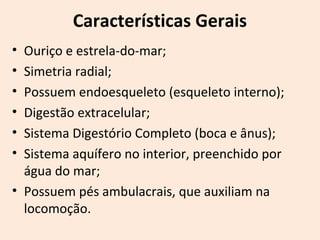 Características Gerais
• Ouriço e estrela-do-mar;
• Simetria radial;
• Possuem endoesqueleto (esqueleto interno);
• Digestão extracelular;
• Sistema Digestório Completo (boca e ânus);
• Sistema aquífero no interior, preenchido por
água do mar;
• Possuem pés ambulacrais, que auxiliam na
locomoção.
 