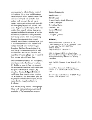 samples could be affected by the isolated
environment. All of these could be causes
for the negative results obtained in the first
samples. Sample #5 was collected from
under a trash can, were the soil was in
contact with decomposing organic material,
and bacilophage Figaro was isolated. This
unlike the previous soil samples, which were
isolated from natural, pristine sites yet no
phages were isolated from those. With this
we can conclude that bacilophages can be
more easily isolated from sites containing
decomposing, or even rotting, organic
material. It appears to be that that is the type
of environment in which the host bacteria
will develop and, since bacteriophages
depend on their host for replication, it is
more likely for them to also thrive in such
environments. We can also conclude that
indeed novel bacteriophages can be isolated
from tropical soils of Puerto Rico.
The isolated bacteriophage is a bacilophage,
since it grew in the Bacillus cereus plate.
We decided to name it Figaro in honor of
the famous character of the same name from
the opera “Il Barbiere di Siviglia”, by
Gioachino Rossini. In figure 1 the third
purification done after the phage isolation
can be observed. The white round spots are
the plaques formed due to cell lysis, which
means that the phage has effectively
developed.
Now that we finally isolated a bacilophage,
future work includes characterization and
annotation of the bacteriophage genome.
Acknowledgements
Special thanks to:
RISE Program
Howard Hughes Medical Institute
PHAGES Program
Dr. Michael Rubin
Giovanni Cruz
Gustavo Martínez
Nicolle Rosa
Cristopher Qintanal
Reference
Pendleton JN, Gorman SP, Gilmore BF. 2013.
Clinical relevance of the ESKAPE pathogens. Expert
Rev Anti Infect Ther 2013; 11:297-308;
PMID:23458769;
<http://dx.doi.org/10.1586/eri.13.12>
Rubin M, Vázquez E. 2012. Mycobateriophage
Proteomics: From Genotype to Phenotype (There and
Back Again)! Universty of Puerto Rico at Cayey,
Puerto Rico.
Suttle CA. 2005. Viruses in the sea. Nature 437: 356–
361.
Snustad P and Simmons M.2012. Principles of
Genetics, 6th
ed. John Wiley & Sons, Inc. Missouri,
USA.
Howard Hughes Medical Institute. 2012 SEA-Phages
Resource Guide. Maryland, USA.
 