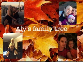 Aly's family tree
 