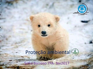 Proteção ambiental
Sofia Barroso 7ºA- fev2017
 