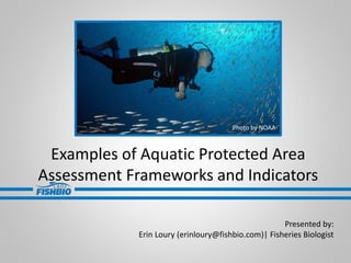 Examples of Aquatic Protected Area
Assessment Frameworks and Indicators
Presented by:
Erin Loury (erinloury@fishbio.com)| Fisheries Biologist
Photo by NOAA-
 