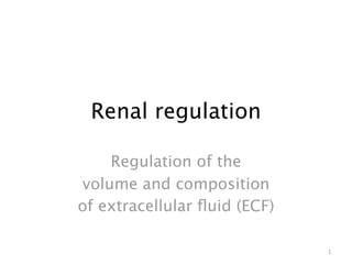 Renal regulation

    Regulation of the
volume and composition
of extracellular ﬂuid (ECF)

                              1
 