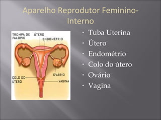Tuba Uterina Útero Endométrio Colo do útero  Ovário Vagina  Aparelho Reprodutor Feminino- Interno 