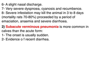6- A slight nasal discharge.
7- Very severe dyspnoea, cyanosis and recumbence.
8- Severe infestation may kill the animal in 3 to 8 days
(mortality rats 70-80%) proceeded by a period of
emaciation, anaemia and severe diarrhoea.
2) Subacute verminous pneumonia is more common in
calves than the acute form:
1- The onset is usually sudden.
2- Evidence o f recent diarrhea.
 