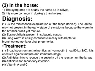 (3) In the horse:
1) The symptoms are nearly the same as in calves.
2) It is more common in donkeys than horses.
Diagnosis:
(1) By the microscopic examination o f the feces (larvae). The larvae
may not present in the early stage of symptoms because the worm in
the bronchi aren’t yet mature.
(2) Eosinophilia is present in subacute cases.
(3) Lung worm is easily confused clinically with bacterial
bronchopneumonia or viral pneumonia.
•Treatment:
(1) Broad spectrum anthelmentics as Ivermectin (1 cc/50 kg S/C). It is
effective against mature and immature stage.
(2) Antihistaminic to reduce the severity o f the reaction on the larvae.
(3) Antibiotic for secondary infection.
(4) Vitamin A and C.
 