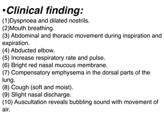 •Clinical ﬁnding:
(1)Dyspnoea and dilated nostrils.
(2)Mouth breathing.
(3) Abdominal and thoracic movement during inspiration and
expiration.
(4) Abducted elbow.
(5) Increase respiratory rate and pulse.
(6) Bright red nasal mucous membrane.
(7) Compensatory emphysema in the dorsal parts of the
lung.
(8) Cough (soft and moist).
(9) Slight nasal discharge.
(10) Auscultation reveals bubbling sound with movement of
air.
 