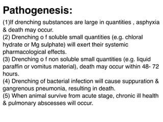 Pathogenesis:
(1)If drenching substances are large in quantities , asphyxia
& death may occur.
(2) Drenching o f soluble small quantities (e.g. chloral
hydrate or Mg sulphate) will exert their systemic
pharmacological effects.
(3) Drenching o f non soluble small quantities (e.g. liquid
parafﬁn or vomitus material), death may occur within 48- 72
hours.
(4) Drenching of bacterial infection will cause suppuration &
gangrenous pneumonia, resulting in death.
(5) When animal survive from acute stage, chronic ill health
& pulmonary abscesses will occur.
 