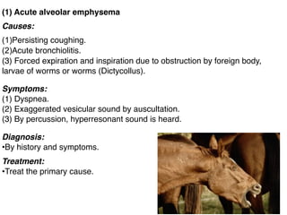 (1) Acute alveolar emphysema
Causes:
(1)Persisting coughing.
(2)Acute bronchiolitis.
(3) Forced expiration and inspiration due to obstruction by foreign body,
larvae of worms or worms (Dictycollus).
Symptoms:
(1) Dyspnea.
(2) Exaggerated vesicular sound by auscultation.
(3) By percussion, hyperresonant sound is heard.
Diagnosis:
•By history and symptoms.
Treatment:
•Treat the primary cause.
 
