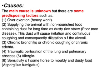 •Causes:
The main cause is unknown but there are some
predisposing factors such as:
(1) Over exertion (heavy work).
(2) Supplying the animal with non-nourished food
containing dust for long time as dusty rice straw (Poor man
disease). This dust will cause irritation and continuous
coughing and consequently dilatation o f the alveoli.
(3) Chronic bronchitis or chronic coughing or chronic
edema.
(4) Traumatic perforation of the lung and pulmonary
abscess.(5) Allergic.
(6) Sensitivity o f some horse to mouldy and dusty food
(Aspergillus fumigatus).
 