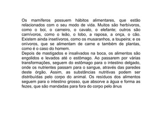 Os mamíferos possuem hábitos alimentares, que estão
relacionados com o seu modo de vida. Muitos são herbívoros,
como o boi, o carneiro, o cavalo, o elefante; outros são
carnívoros, como o leão, o lobo, a raposa, a onça, o cão.
Existem ainda insetívoros, como os musaranhos, a toupeira; e os
onívoros, que se alimentam de carne e também de plantas,
como é o caso do homem.
Depois de mastigados e insalivados na boca, os alimentos são
engolidos e levados até o estômago. Ao passarem por várias
transformações, seguem do estômago para o intestino delgado,
onde os nutrientes passam para o sangue, através das paredes
deste órgão. Assim, as substâncias nutritivas podem ser
distribuídas pelo corpo do animal. Os resíduos dos alimentos
seguem para o intestino grosso, que absorve a água e forma as
fezes, que são mandadas para fora do corpo pelo ânus
 