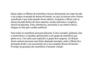 Quase todos os filhotes de mamíferos nascem diretamente do corpo da mãe
e em estágio avançado de desenvolvimento, ou seja, já nascem com a forma
semelhante à que terão quando forem adultos. Enquanto o filhote está se
desenvolvendo dentro do útero materno, recebe nutrientes e oxigênio,
através da placenta. Estas substâncias, necessária à sua sobrevivência,
chegam ao feto pelo cordão umbilical.

Nem todos os mamíferos possuem placenta. Como exemplo, podemos citar
o ornitorrinco e a équidna, pertencentes a um grupo de mamíferos que
põem ovos. Um outro caso especial é o grupo dos cangurus. As fêmeas
destes animais possuem uma bolsa chamada marsúpio, onde o filhote fica
protegido desde o seu nascimento até o seu completo desenvolvimento.
O tempo de gestação dos mamíferos é bastante variado
 
