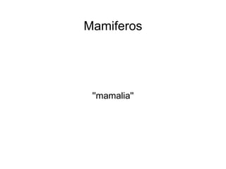 Mamiferos




 ''mamalia''
 