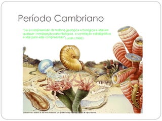 Período Cambriano
 
