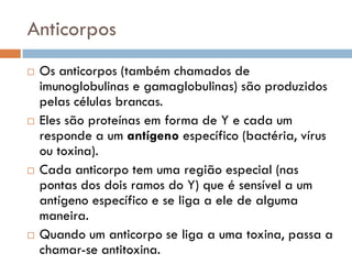 Anticorpos
   Os anticorpos (também chamados de
    imunoglobulinas e gamaglobulinas) são produzidos
    pelas células brancas.
   Eles são proteínas em forma de Y e cada um
    responde a um antígeno específico (bactéria, vírus
    ou toxina).
   Cada anticorpo tem uma região especial (nas
    pontas dos dois ramos do Y) que é sensível a um
    antígeno específico e se liga a ele de alguma
    maneira.
   Quando um anticorpo se liga a uma toxina, passa a
    chamar-se antitoxina.
 