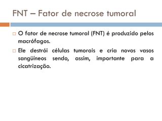 FNT – Fator de necrose tumoral
   O fator de necrose tumoral (FNT) é produzido pelos
    macrófagos.
   Ele destrói células tumorais e cria novos vasos
    sangüíneos sendo, assim, importante para a
    cicatrização.
 