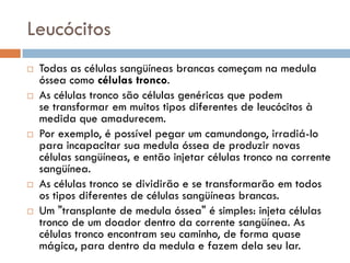 Leucócitos
   Todas as células sangüíneas brancas começam na medula
    óssea como células tronco.
   As células tronco são células genéricas que podem
    se transformar em muitos tipos diferentes de leucócitos à
    medida que amadurecem.
   Por exemplo, é possível pegar um camundongo, irradiá-lo
    para incapacitar sua medula óssea de produzir novas
    células sangüíneas, e então injetar células tronco na corrente
    sangüínea.
   As células tronco se dividirão e se transformarão em todos
    os tipos diferentes de células sangüíneas brancas.
   Um "transplante de medula óssea" é simples: injeta células
    tronco de um doador dentro da corrente sangüínea. As
    células tronco encontram seu caminho, de forma quase
    mágica, para dentro da medula e fazem dela seu lar.
 