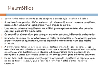 Neutrófilos
   São a forma mais comum de célula sangüínea branca que você tem no corpo.
   A medula óssea produz trilhões deles a cada dia e os libera na corrente sangüínea,
    mas eles têm vida curta - geralmente vivem menos de um dia.
   Uma vez na corrente sangüínea os neutrófilos podem passar através das paredes
    capilares para dentro dos tecidos.
   Os neutrófilos são atraídos por qualquer material estranho, inflamação ou bactéria.
   Se você é espetado por uma farpa ou se corta, os neutrófilos serão atraídos por um
    processo chamado quimiotaxia, muitos organismos unicelulares usam esse mesmo
    processo.
   A quimiotaxia deixa as células móveis se deslocarem em direção às concentrações
    mais altas de uma substância química. Assim que o neutrófilo encontra uma partícula
    estranha ou uma bactéria, ele a absorve e libera enzimas como o peróxido de
    hidrogênio e outras substâncias químicas dos seus grânulos para matar as bactérias.
   Em um local onde haja uma infecção grave (onde muitas bactérias se reproduziram
    na área), forma-se pus. O pus é feito de neutrófilos mortos e outros resíduos
    celulares.
 