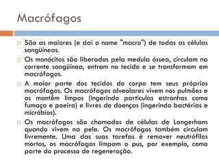 Macrófagos
   São as maiores (e daí o nome "macro") de todas as células
    sangüíneas.
   Os monócitos são liberados pela medula óssea, circulam na
    corrente sangüínea, entram no tecido e se transformam em
    macrófagos.
   A maior parte dos tecidos do corpo tem seus próprios
    macrófagos. Os macrófagos alveolares vivem nos pulmões e
    os mantêm limpos (ingerindo partículas estranhas como
    fumaça e poeira) e livres de doenças (ingerindo bactérias e
    micróbios).
   Os macrófagos são chamados de células de Langerhans
    quando vivem na pele. Os macrófagos também circulam
    livremente. Uma das suas tarefas é remover neutrófilos
    mortos, os macrófagos limpam o pus, por exemplo, como
    parte do processo de regeneração.
 