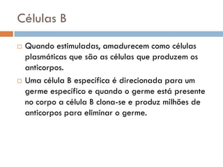 Células B
   Quando estimuladas, amadurecem como células
    plasmáticas que são as células que produzem os
    anticorpos.
   Uma célula B específica é direcionada para um
    germe específico e quando o germe está presente
    no corpo a célula B clona-se e produz milhões de
    anticorpos para eliminar o germe.
 