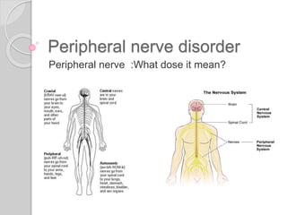 Peripheral nerve disorder
Peripheral nerve :What dose it mean?
 