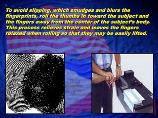 	Grasp the individual’s right hand at the base of the thumb with your right hand.  Guide the finger being printed with your left hand, cupping your hand over the individual’s other fingers.Bulb of the fingerBulb of the fingerFirst JointFirst JointIf using the ink and paper method, roll the finger on the inking plate or Porelon pad so the entire fingerprint area is evenly covered with ink.  The ink should be rolled from nail to nail and from the crease of the first joint to the tip of the finger.