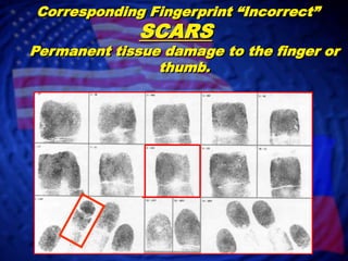“CORRECT” NOTATIONS IN FINGERPRINT BLOCKS.Proper sequence of fingerprints.Fingerprints Rolled form Nail to Nail. Plain Impressions should be printed at a 45 Degree angle.Image NotProvided
