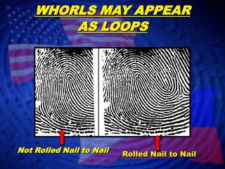 RolledImpressionsPlainImpressions