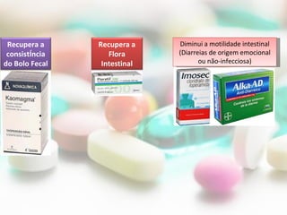 Recupera a     Recupera a    Diminui a motilidade intestinal
 consistência      Flora      (Diarreias de origem emocional
do Bolo Fecal    Intestinal          ou não-infecciosa)
 