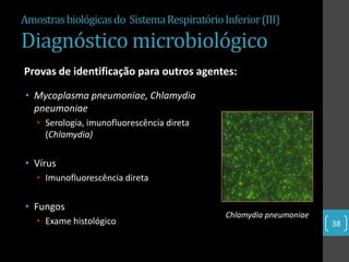 Amostras biológicas do Sistema Respiratório Inferior (III)

Diagnóstico microbiológico
Provas de identificação para outros agentes:

• Mycoplasma pneumoniae, Chlamydia
  pneumoniae
   • Serologia, imunofluorescência direta
     (Chlamydia)

• Vírus
   • Imunofluorescência direta

• Fungos
                                             Chlamydia pneumoniae
   • Exame histológico                                              38
 
