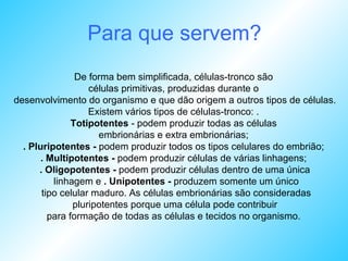 Para que servem? De forma bem simplificada, células-tronco são  células primitivas, produzidas durante o  desenvolvimento do organismo e que dão origem a outros tipos de células.  Existem vários tipos de células-tronco: .  Totipotentes  - podem produzir todas as células  embrionárias e extra embrionárias;   . Pluripotentes -  podem produzir todos os tipos celulares do embrião;  . Multipotentes -  podem produzir células de várias linhagens;   . Oligopotentes -  podem produzir células dentro de uma única linhagem e  . Unipotentes -  produzem somente um único tipo celular maduro. As células embrionárias são consideradas pluripotentes porque uma célula pode contribuir  para formação de todas as células e tecidos no organismo.  