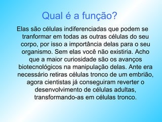 Qual é a função?   Elas são células indiferenciadas que podem se tranformar em todas as outras células do seu corpo, por isso a importância delas para o seu organismo. Sem elas você não existiria. Acho que a maior curiosidade são os avanços biotecnológicos na manipulação delas. Ante era necessário retiras células tronco de um embrião, agora cientistas já conseguiram reverter o desenvolvimento de células adultas, transformando-as em células tronco. 