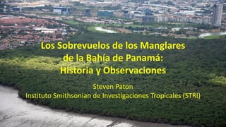 Los Sobrevuelos de los Manglares
de la Bahía de Panamá:
Historia y Observaciones
Steven Paton
Instituto Smithsonian de Investigaciones Tropicales (STRI)
 