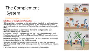 7 B-cell activation immunity adaptive pptx | PPTX