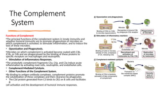 Complement System Immunity Lysis 7 B-cell activation immunity adaptive.pptx