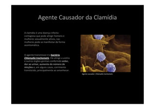 Agente Causador da Clamídia
A clamídia é uma doença infecto‐
contagiosa que pode atingir homens e 
mulheres sexualmente ativos, nas 
mulheres pode se manifestar de forma 
assintomática. 
O agente transmissor é a bactéria 
Chlamydia trachomatis. Ela atinge a uretra 
e outros órgãos genitais conferindo ardor, 
dor ao urinar, aumento do número de 
micções e, em alguns casos, corrimento 
translúcido, principalmente ao amanhecer.
Agente causador: Chlamydia trachomatis
 