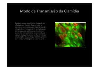 Modo de Transmissão da Clamídia
• Qualquer pessoa sexualmente ativa pode ser 
infectada com clamídia. Quanto maior o 
número de parceiros sexuais, maior o risco de 
infecção. Uma vez que o cérvix (entrada para o 
útero) de garotas adolescentes e mulheres 
jovens não está totalmente amadurecido, ele 
está sob risco particularmente alto de infecção 
em atividades sexuais. Já que clamídia também 
pode ser transmitida pelo sexo oral ou anal
 
