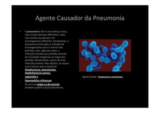 Agente Causador da Pneumonia
• A pneumonia não é uma doença única, 
mas muitas doenças diferentes, cada 
uma sendo causada por um 
microrganismo diferente. Geralmente, a 
pneumonia inicia após a inalação de 
microrganismos para o interior dos 
pulmões, mas, algumas vezes, a 
infecção é levada aos pulmões através 
da circulação sangüínea ou migra aos 
pulmões diretamente a partir de uma 
infecção próxima. Nos adultos, as causas 
mais comuns são as bactérias 
Streptococcus  pneumoniae, 
Staphylococcus aureus,
Legionella e
Haemophilus influenzae. 
Os vírus da gripe e o da varicela 
também podem causar pneumonia. 
Agente causador : Streptococcus  pneumoniae,
 