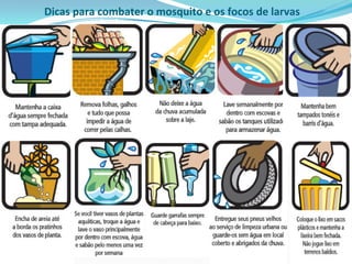 Dicas para combater o mosquito e os focos de larvas
 