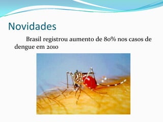 Novidades
Brasil registrou aumento de 80% nos casos de 
dengue em 2010 
 