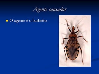 Agente causadorAgente causador
O agenteO agente éé o barbeiroo barbeiro
 