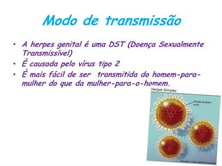 Modo de transmissão
• A herpes genital é uma DST (Doença Sexualmente
Transmissível)
• É causada pelo vírus tipo 2
• É mais fácil de ser transmitida do homem-para-
mulher do que da mulher-para-o-homem.
 