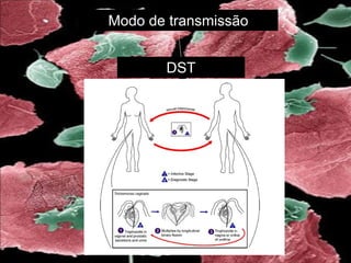 Modo de transmissão
DST
 