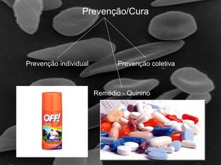 Prevenção/Cura
Prevenção individual Prevenção coletiva
Remédio - Quinino
 
