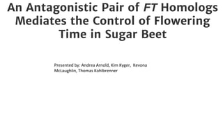 An Antagonistic Pair of FT Homologs
Mediates the Control of Flowering
Time in Sugar Beet
Presented by: Andrea Arnold, Kim Kyger, Kevona
McLaughlin, Thomas Kohlbrenner
 