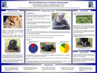 INTRODUCTION
11
1. Bradshaw, G. A., Capaldo, T., Lindner, L., &
Grow, G. (2009). Developmental context
effects on bicultural posttrauma self repair in
chimpanzees. Developmental Psychology,
45(5). 1376-1388.
2. Bradshaw, G. A., Capaldo, T., Lindner, L., &
Grow, G. (2008). Building an inner sanctuary
: Complex PTSD in chimpanzees. Journal of
Trauma & Dissociation, 9(1). 9-34.
3. Walsh, S., Bramblett, C. A., & Alford, P. L.
(1982). A vocabulary of abnormal behaviors
in restrictively reared chimpanzees.
American Journal of Primatology, 3, 315-
319.
4. Ferdowsian, H. R., Durham, D. L., Kimwele,
C, Kranendonk, G, Otali, E, et al. (2011).
Signs of mood and anxiety disorders in
chimpanzees. PLoS ONE, 6(6): e19855.
5. Lopresti-Goodman, S., Kameka, M., &
Dube, A. (2013). Stereotypical behaviors in
chimpanzees rescued from the African
bushmeat and pet trade. Behavioral
Sciences, 3, 1-20.
al
Abnormal Behaviors in Captive Chimpanzees
Lorine Margeson & Stacy M. Lopresti-Goodman, Ph.D.
Department of Psychology, Marymount University, Arlington, VA, USA
This research was supported in part by a Virginia Foundation for Independent Colleges Summer Research Grant to Lorine Margeson, and a Marymount University Research Grant to Stacy M. Lopresti-Goodman
In Africa, chimpanzees are illegally killed for their meat
(bushmeat) and their infant orphans are sold as “pets.”
Despite living in an enriched sanctuary setting, Poco still
engages in a variety of abnormal, self-injurious behaviors.
Poco’s case demonstrate the life-long psychological harm
maternal deprivation, social isolation, and poor captive
conditions have on chimpanzees.
Chimpanzees are an endangered species. If we don’t stop
bushmeat hunting, and their use in biomedical research,
the “pet” trade and use in entertainment in the US, they
will become extinct in our lifetime.
BACKGROUND:
Male Chimpanzee, estimated to be born and separated from his
mother in 1981. Lived alone in a small cage suspended from the
ceiling of a service station for 9 years in Burundi.
Rescued by the Jane Goodall Institute Sanctuary in Bujumbura,
Burundi in 1989.
In 1995 was relocated to the Sweetwaters Chimpanzee Sanctuary
in Nanyuki, Kenya. Lives with 38 other chimpanzees on 200 acres
of enclosed, protected land.
In 2011, second author determined through caregiver interviews,
case file review, and behavioral observations that Poco meets
behaviorally modified criteria for PTSD in chimpanzees (5).
Abnormal behaviors (N = #) included: self-poking with sharp thorn, aggressive outbursts towards humans, masturbating,
eats his own feces (coprophagy), and flips his upper lip.
Was human oriented 51.88% of the observation time, solitary 40.9%, agonist .16%, affinitive 6.43% and submissive only
.63%
Caregiver interviews indicated he is often solitary and only socializes with a few other chimpanzees. He has never been
seen mating with a chimpanzee before and is in constant fear from other chimpanzees or big men.
Captivity can cause abnormal or species atypical
behaviors and psychological distress from maternal
separation, social isolation, and ethologically
inappropriate living conditions (1, 2, 3).
Most common abnormal behaviors include self-
scratching, -biting, -poking, -clasping, eating feces,
masturbating, grooming stereotypically, and rocking (3).
METHODS:
Conducted non-intrusive behavioral observations for 12 hr, in 30 min blocks, using instantaneous focal animal sampling,
with 1 min intervals, over six days in June, 2014. Recorded both normal and abnormal behaviors and behavioral contexts
(e.g. human oriented, solitary, social).
Interviewed caregivers to gather qualitative data about normal and abnormal behaviors Poco engages in.
Marymount University’s Institutional Review Board approved all procedures.
Poco self-clasping in a depressed posture.
© Jane Goodall Institute
RESULTS:
Normal 90.6%
Abnormal 9.4%
Behavioral Distribution Behavioral Contexts
Chimpanzee 5.6%
Solitary 36.17% Human 46%
Poco solitary, self-clasping, while scratching
flesh with sharp thorn (see inset).
CASE STUDY: POCO DISCUSSION
CONCLUSION
REFERENCES
Some abnormal behaviors resemble symptoms of Post-
Traumatic Stress Disorder (PTSD); avoidance behaviors,
social withdrawal, lack of interest in play, food, grooming,
easily angered and startled, extremely watchful (1, 4, 5).
I believe Poco will exhibit abnormal behaviors when
people are around because he was in captivity for a long
period of time and people cause him stress.
Behaviors may be result of trauma prior to rescue, brought
about by boredom, habit, or caused by the presence of
human visitors to the sanctuary. Most abnormal behaviors
occurred when he was human oriented.
While he spent most of time engaging in normal behaviors
(e.g. eating, resting), was socially isolated and human
oriented, which is abnormal.
Some normal behaviors, such as nest making, were
engaged in stereotypically, or mechanistically and without
an apparent function or purpose.
Chimpanzees grooming at Sweetwaters.
Poco frantically made nests, then destroyed
them and made new ones repeatedly.
 