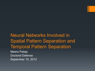 Neural Networks Involved in
Spatial Pattern Separation and
Temporal Pattern Separation
Meera Paleja
Doctoral Defense
September 10, 2012
 